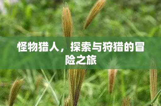 怪物猎人，探索与狩猎的冒险之旅