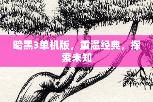暗黑3单机版，重温经典，探索未知