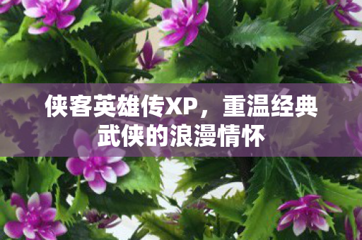 侠客英雄传XP，重温经典武侠的浪漫情怀