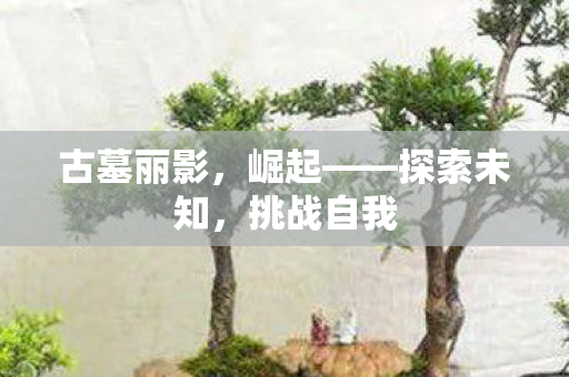 古墓丽影图片
