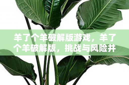 羊了个羊破解版游戏，羊了个羊破解版，挑战与风险并存的游戏世界