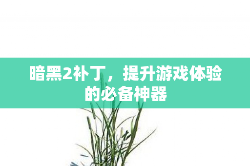 暗黑2补丁，提升游戏体验的必备神器