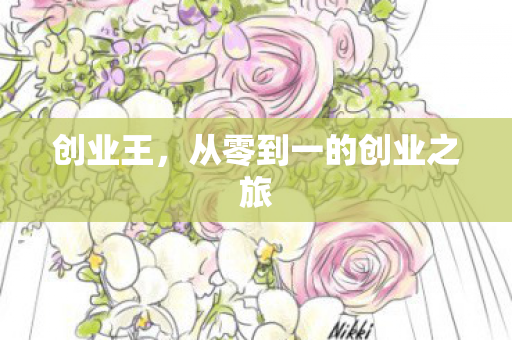 创业王,从零到一的创业之旅 创业王,从零到一的创业之旅