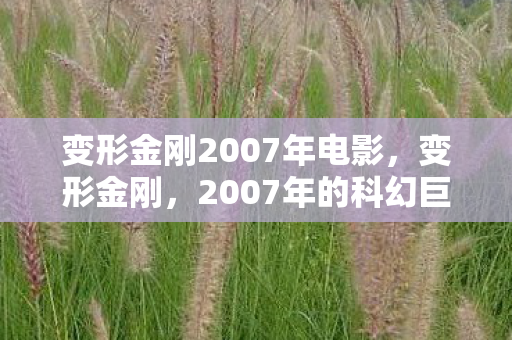 变形金刚2007年电影，变形金刚，2007年的科幻巨制，重塑经典