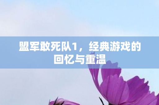 盟军敢死队1，经典游戏的回忆与重温