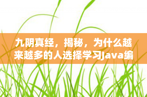 九阴真经,揭秘,为什么越来越多的人选择学习Java编程语言? 九阴真经,揭秘,为什么越来越多的人选择学习Java编程语言?