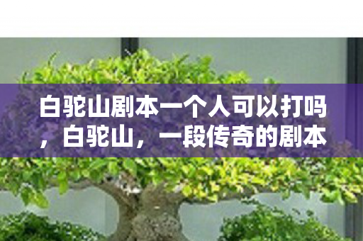 白驼山剧本一个人可以打吗，白驼山，一段传奇的剧本
