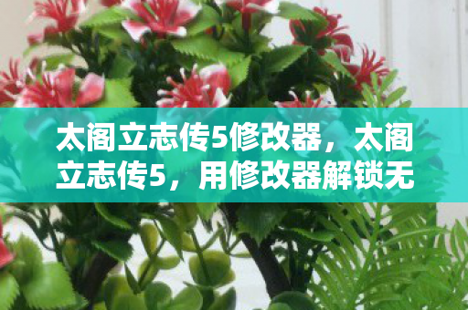 太阁立志传5修改器，太阁立志传5，用修改器解锁无限可能