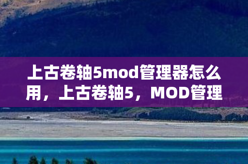 上古卷轴5mod管理器怎么用图片
