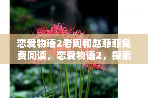 恋爱物语2老周和赵菲菲免费阅读，恋爱物语2，探索爱情的新篇章