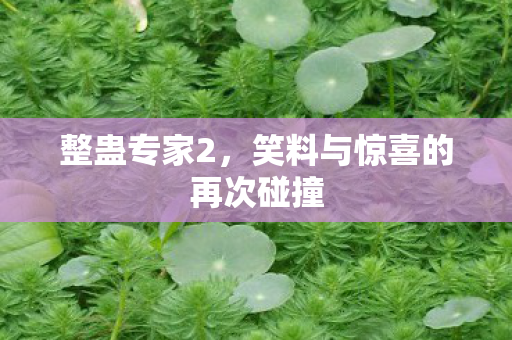 整蛊专家2，笑料与惊喜的再次碰撞