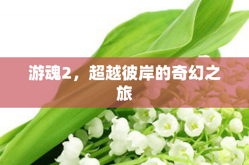游魂2，超越彼岸的奇幻之旅