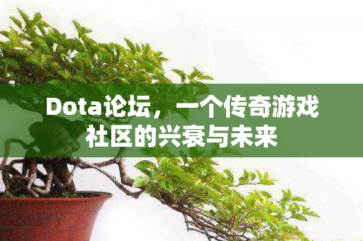 Dota论坛，一个传奇游戏社区的兴衰与未来