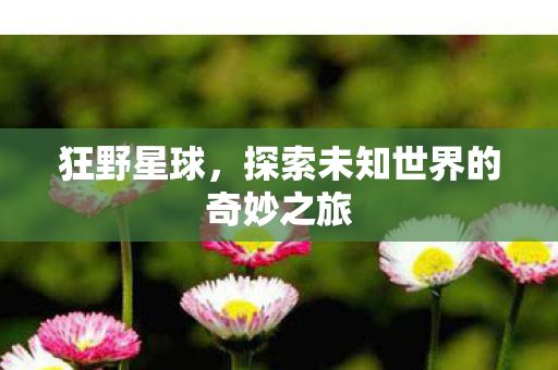 狂野星球，探索未知世界的奇妙之旅
