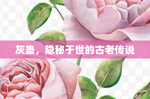 隐秘于世的古老传说图片