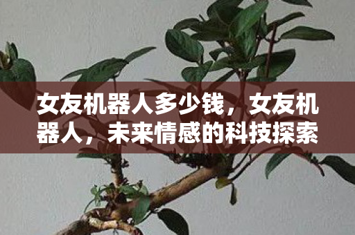 女友机器人多少钱，女友机器人，未来情感的科技探索