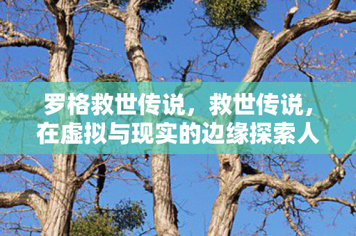 罗格救世传说，救世传说，在虚拟与现实的边缘探索人性的光辉