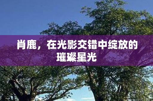 肖鹿，在光影交错中绽放的璀璨星光
