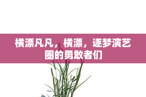 横漂凡凡，横漂，逐梦演艺圈的勇敢者们