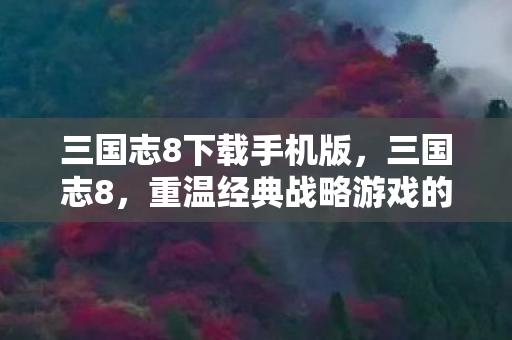 三国志8下载手机版，三国志8，重温经典战略游戏的魅力