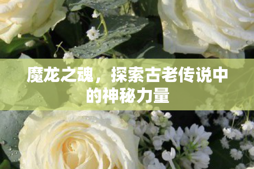 魔龙之魂，探索古老传说中的神秘力量