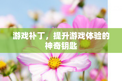 游戏补丁,提升游戏体验的神奇钥匙 游戏补丁,提升游戏体验的神奇钥匙