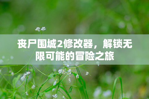 丧尸围城2修改器，解锁无限可能的冒险之旅
