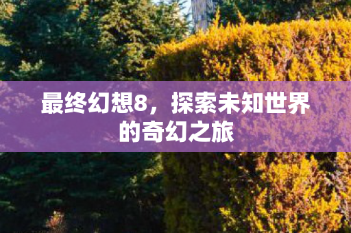 最终幻想8，探索未知世界的奇幻之旅