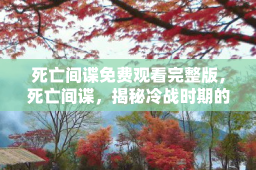 死亡间谍免费观看完整版，死亡间谍，揭秘冷战时期的神秘人物