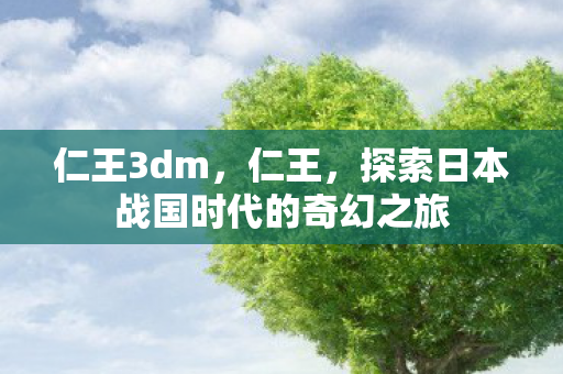 仁王3dm，仁王，探索日本战国时代的奇幻之旅