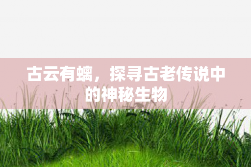 古云有螭，探寻古老传说中的神秘生物