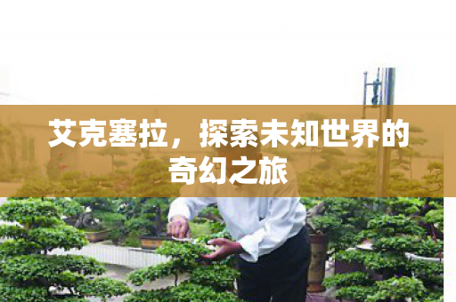 艾克塞拉，探索未知世界的奇幻之旅