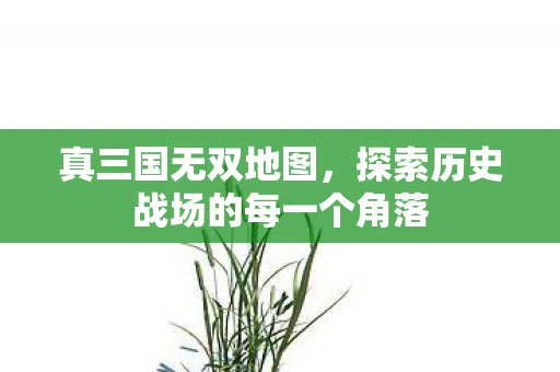 真三国无双地图，探索历史战场的每一个角落