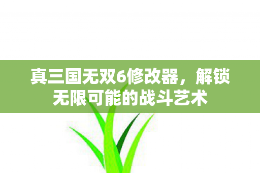 真三国无双6修改器，解锁无限可能的战斗艺术