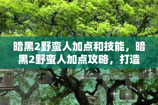 暗黑2野蛮人加点和技能，暗黑2野蛮人加点攻略，打造无敌战士