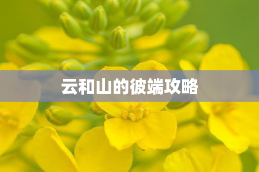 云和山的彼端攻略