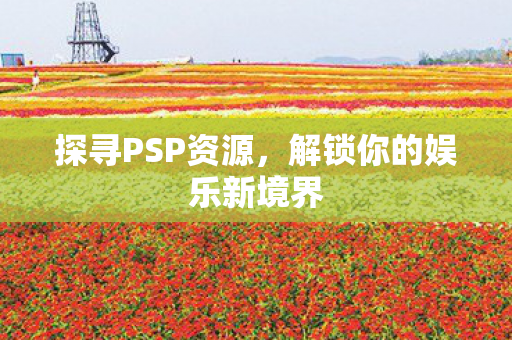 探寻PSP资源，解锁你的娱乐新境界
