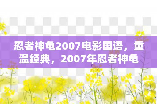 忍者神龟2007电影国语，重温经典，2007年忍者神龟的热血与回忆