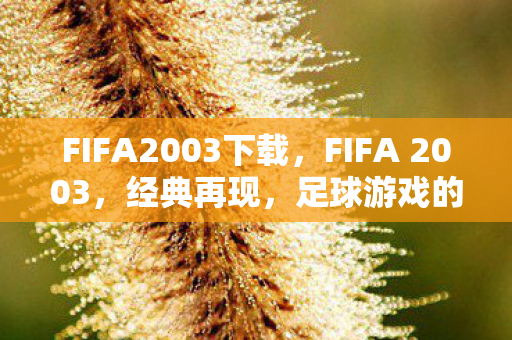 FIFA2003下载，FIFA 2003，经典再现，足球游戏的黄金时代