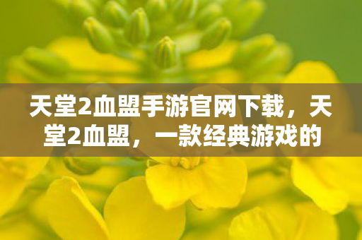 天堂2血盟手游官网下载,天堂2血盟,一款经典游戏的传奇延续 天堂2血盟手游官网下载,天堂2血盟,一款经典游戏的传奇延续