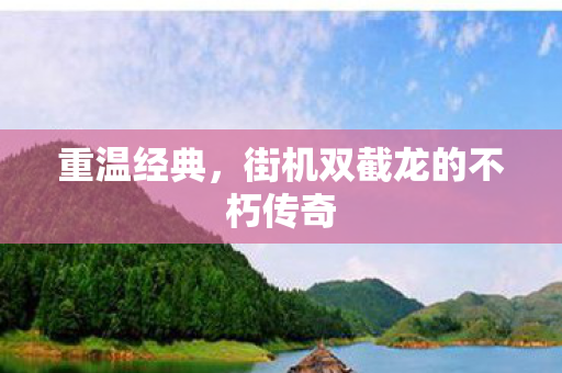 重温经典，街机双截龙的不朽传奇