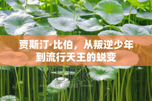 贾斯汀·比伯，从叛逆少年到流行天王的蜕变
