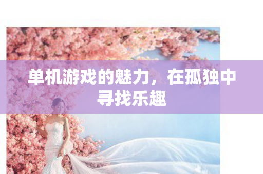 单机游戏的魅力，在孤独中寻找乐趣