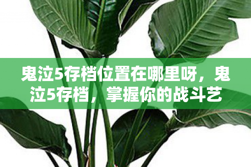 鬼泣5存档位置在哪里呀,鬼泣5存档,掌握你的战斗艺术 鬼泣5存档位置在哪里呀,鬼泣5存档,掌握你的战斗艺术