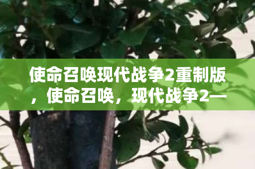 使命召唤现代战争2重制版图片