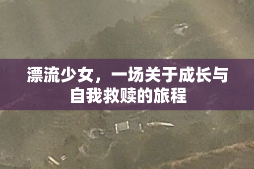 漂流少女，一场关于成长与自我救赎的旅程