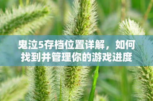 鬼泣5存档位置详解，如何找到并管理你的游戏进度