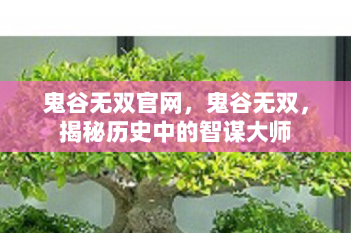 鬼谷无双官网，鬼谷无双，揭秘历史中的智谋大师