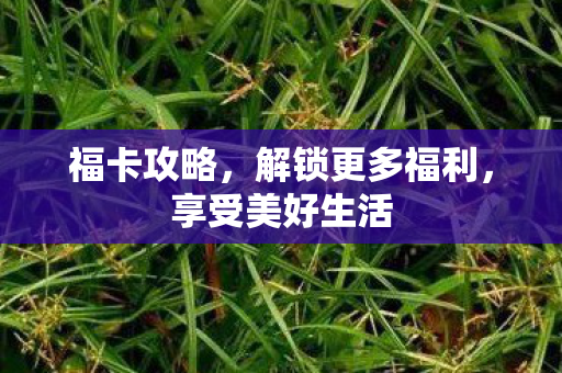 福卡攻略，解锁更多福利，享受美好生活