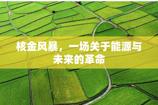 核金风暴，一场关于能源与未来的革命